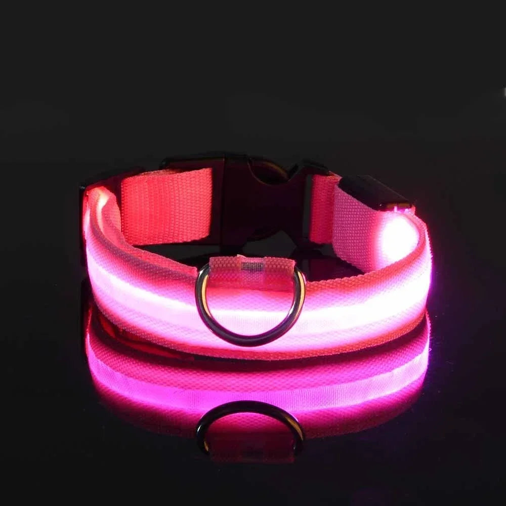 Dog Collar Nylon LED Night Safety Flashing Glow In The Dark Pet Dog Leash pet Dogs Luminous Fluorescent dog accessories collar