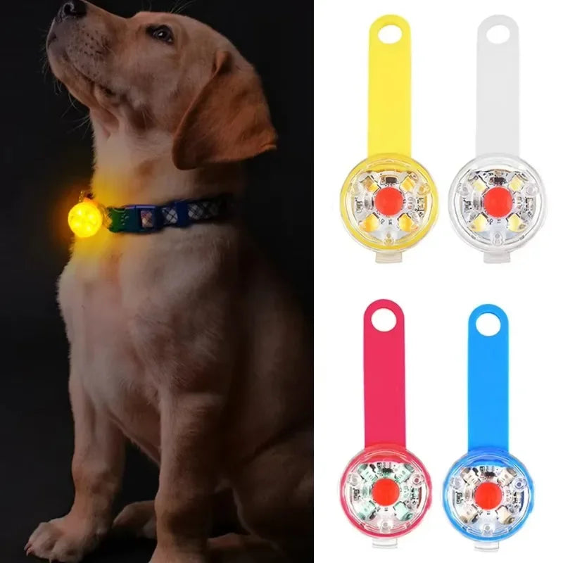 Dog collar, loss collar, weatherproof LED safety light, USB rechargeable LED light collar, dog, cat, pet