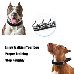 Dog Training Collar Prong Collar with Quick Release Buckle & Nylon Cover Pet Dog Spike Pinch Collar